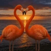 Paint by numbers artwork of two flamingos forming a heart shape with their necks at sunset, standing by the ocean with a glowing sky in the background.